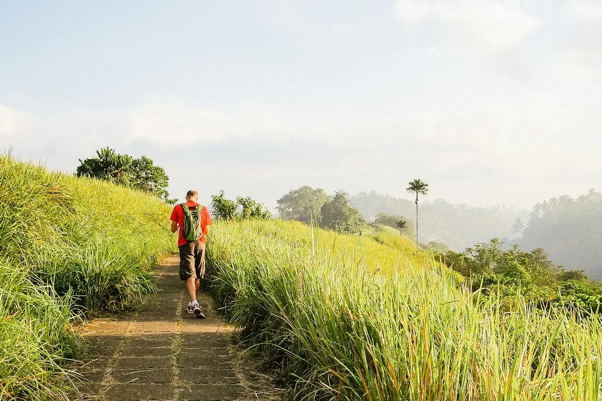 Wisatawan berjalan di jalur hijau Campuhan Ridge Walk Ubud Bali.