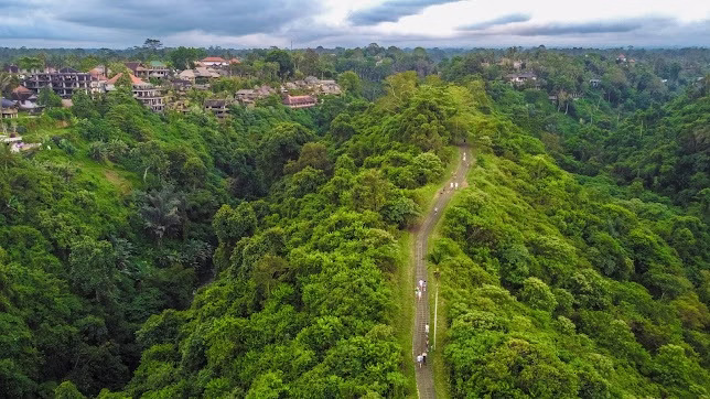 Pemandangan udara Campuhan Ridge Walk dengan jalur di tengah perbukitan hijau.