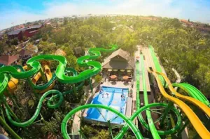 Pemandangan dari atas wahana seluncuran Green Viper di Waterbom Bali, menampilkan lintasan hijau yang berliku-liku dan kolam splash zone di tengah taman tropis yang rimbun.