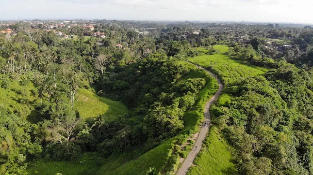Campuhan Ridge Walk Ubud sebagai Tempat Wisata Gratis di Bali dengan panorama perbukitan hijau