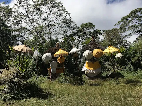 Pemandangan alam hijau di Gunung Lesung, salah satu gunung terbaik di Bali untuk pendakian dan wisata alam.